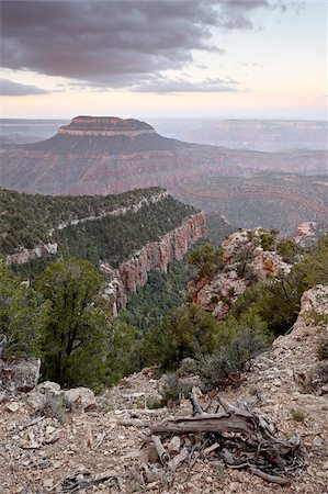 Steamboat Mountain at dawn from Fence Point, North Rim, Grand Canyon, Kaibab National Forest, Arizona, United States of America, North America Stock Photo - Rights-Managed, Code: 841-03869192