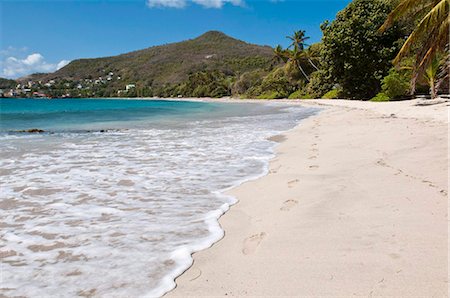 simsearch:841-05796490,k - Friendship Bay beach, Bequia, St. Vincent and The Grenadines, Windward Islands, West Indies, Caribbean, Central America Stock Photo - Rights-Managed, Code: 841-03869768