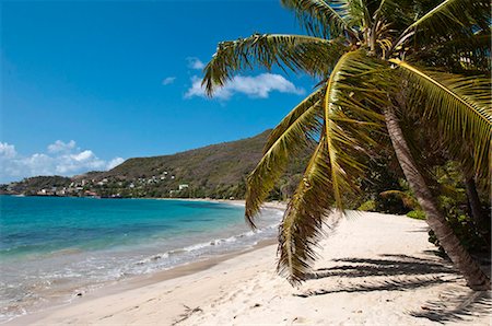 simsearch:841-05796490,k - Friendship Bay beach, Bequia, St. Vincent and The Grenadines, Windward Islands, West Indies, Caribbean, Central America Stock Photo - Rights-Managed, Code: 841-03869769