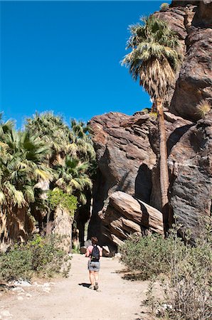 palm springs - Hiking in Andreas Canyon, Indian Canyons, Palm Springs, California, United States of America, North America Stock Photo - Rights-Managed, Code: 841-03869783