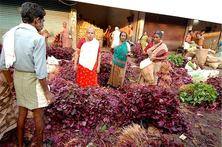 Spinach for sale at vegetable market, Chalai, Trivandrum, Kerala, India, Asia Stock Photo - Rights-Managed, Code: 841-03870252