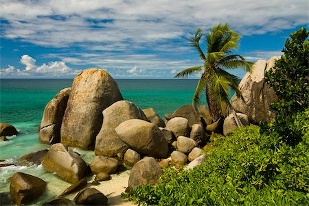 simsearch:851-02962651,k - Granite rocks and palm trees, Mahe, Seychelles, Indian Ocean, Africa Stock Photo - Rights-Managed, Code: 841-03871152
