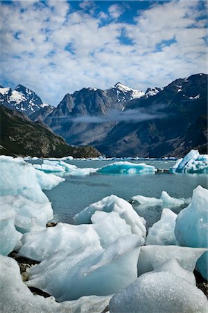 Scenic of icebergs from McBride Glacier in Muir Inlet, Glacier Bay National Park & Preserve, Southeast Alaska, Summer Stock Photo - Rights-Managed, Code: 854-05974537