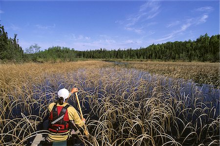 Adult woman paddles through a water portage off of Swan Lake Canoe Trails in Kenai National Wildlife Refuge Kenai Peninsula Alaska Stock Photo - Rights-Managed, Code: 854-02954926