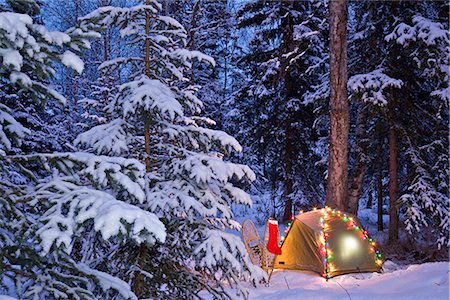 A tent is set up in the woods with Christmas lights and stocking near Anchorage, Alaska Stock Photo - Rights-Managed, Code: 854-02955070