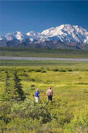 simsearch:854-02955238,k - Jeune couple Découvre Mt McKinley et l'été de la chaîne de l'Alaska l'Alaska Denali National Park Photographie de stock - Rights-Managed, Code: 854-02955159