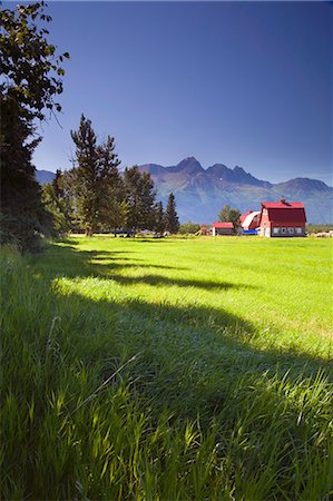 residential fence - Original 1930s Colony Barn & farm w/Chugach Mountains Matanuska Valley Palmer Southcentral Alaska Summer Stock Photo - Rights-Managed, Code: 854-02955542