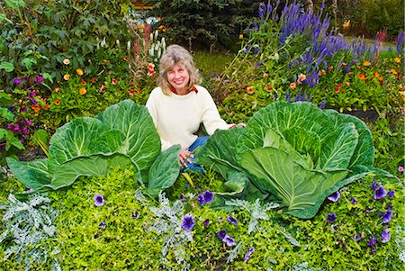 Woman poses with giant cabbages in the Matanuska Valley. Summer in Southcental Alaska. Stock Photo - Rights-Managed, Code: 854-02955550