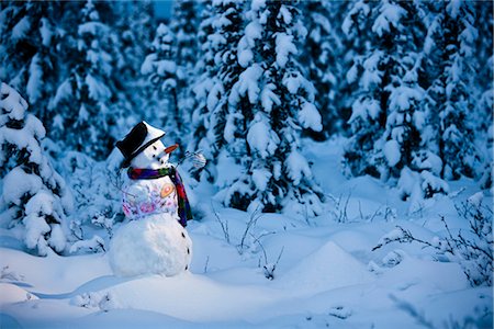 simsearch:854-02956132,k - Snowman with colorful scarf and vest wearing a black top hat standing in snow covered spruce forest near Fairbanks, Alaska in Winter Foto de stock - Con derechos protegidos, Código: 854-02955846