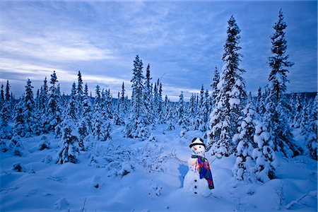 simsearch:854-02956132,k - Snowman with colorful scarf and vest wearing a black top hat standing in snow covered spruce forest near Fairbanks, Alaska in Winter Foto de stock - Con derechos protegidos, Código: 854-02955847