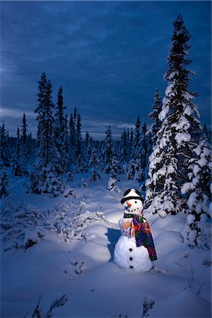 simsearch:854-02956132,k - Snowman with colorful scarf and vest wearing a black top hat standing in snow covered spruce forest near Fairbanks, Alaska in Winter Foto de stock - Con derechos protegidos, Código: 854-02955848