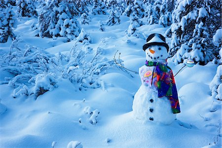 simsearch:854-02956132,k - Snowman with colorful scarf and vest wearing a black top hat standing in snow covered spruce forest near Fairbanks, Alaska in Winter Foto de stock - Con derechos protegidos, Código: 854-02955849