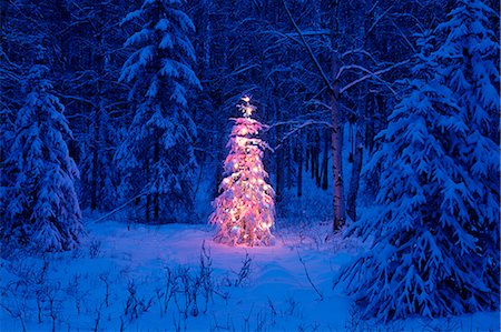 Lit Christmas Tree in Forest at Twilight SC Alaska Winter Stock Photo - Rights-Managed, Code: 854-02955890