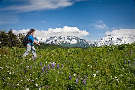 Woman hiking amongst Lupine and other wildflowers in Kenai Mountains along Lost Lake Trail near Seward, Alaska during Summer Stock Photo - Rights-Managed, Code: 854-02955950