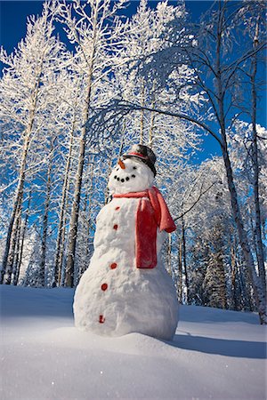 simsearch:854-02956132,k - Snowman with red scarf and black top hat standing in front of snow covered Birch forest, winter, Eagle River, Alaska, USA. Foto de stock - Con derechos protegidos, Código: 854-02956134