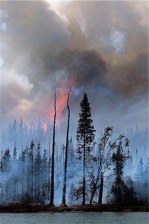 Blazing forest fire in Kenai Wildlife Refuge, Skilak Lake, Alaska, Summer. Stock Photo - Rights-Managed, Code: 854-02956155