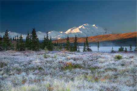 simsearch:854-02955936,k - North face of Denali at sunrise with frost covered grass and Wonder Lake in the foreground in Denali National Park, Alaska Stock Photo - Rights-Managed, Code: 854-02956230