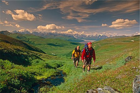 simsearch:854-02955238,k - Hikers on Tundra in Denali State Park SC Alaska Summer w/Mt McKinley background Stock Photo - Rights-Managed, Code: 854-02956240