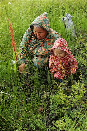 Elder Yupik woman picking blueberries with infant girl, near the village of Kwethluk, Western Alaska, Summer Stock Photo - Rights-Managed, Code: 854-03362327