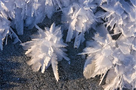 Macro view of ice crystals (hoar frost) on the frozen surface of a small pond following an extended period of sub zero winter weather in Alaska's Tongass Forest. Stock Photo - Rights-Managed, Code: 854-03362465