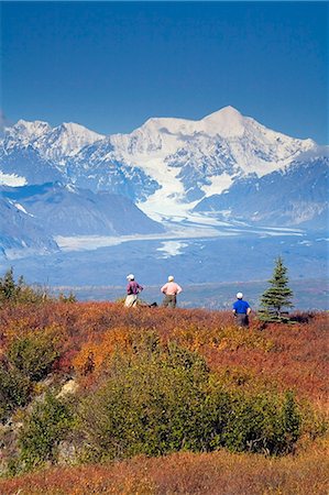 simsearch:854-03538162,k - Senior hikers on Little Coal Creek trail in Denali State Park Interior Alaska Autumn Stock Photo - Rights-Managed, Code: 854-03538108