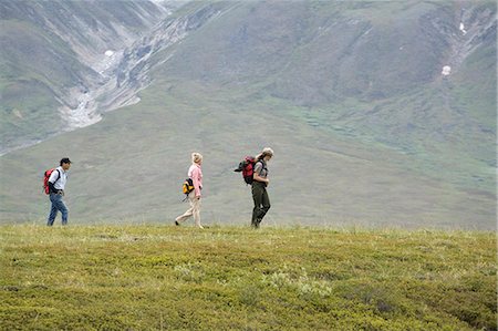 simsearch:854-03538162,k - Female US National Park Interpretive Ranger leades group on a *discovery hike* in the Eielson area Denali National Park Alaska Stock Photo - Rights-Managed, Code: 854-03538116