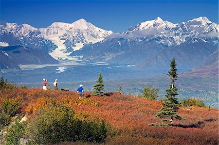 simsearch:854-03538162,k - Senior hikers on Little Coal Creek trail in Denali State Park Interior Alaska Autumn Stock Photo - Rights-Managed, Code: 854-03538110