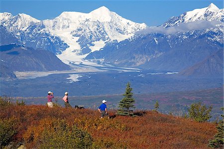 simsearch:854-03538162,k - Senior hikers on Little Coal Creek trail in Denali State Park Interior Alaska Autumn Stock Photo - Rights-Managed, Code: 854-03538111