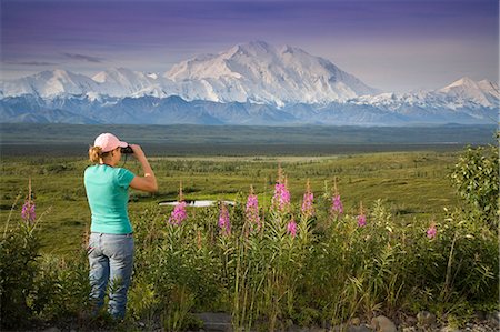 simsearch:854-03538162,k - Female visitor views Mt.Mckinley & Alaska Range through binoculars next to fireweed flowers Denali National Park Alaska Stock Photo - Rights-Managed, Code: 854-03538128