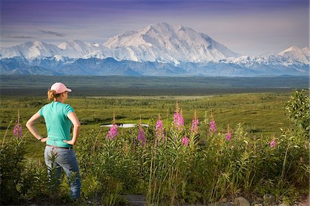simsearch:854-03538162,k - Female visitor views Mt.Mckinley & Alaska Range through binoculars next to fireweed flowers Denali National Park Alaska Stock Photo - Rights-Managed, Code: 854-03538129