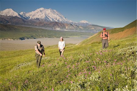 simsearch:854-03538162,k - National Park Interpretive Ranger takes a young couple on a *Discovery Hike* near Eielson visitor center Denali National Park Alaska Stock Photo - Rights-Managed, Code: 854-03538154