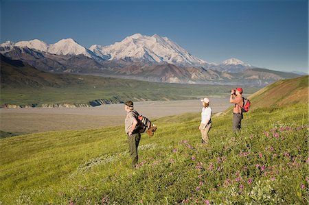 simsearch:854-03538162,k - National Park Interpretive Ranger takes a young couple on a *Discovery Hike* near Eielson visitor center Denali National Park Alaska Stock Photo - Rights-Managed, Code: 854-03538156