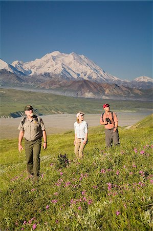 simsearch:854-03538162,k - National Park Interpretive Ranger takes a young couple on a *Discovery Hike* near Eielson visitor center Denali National Park Alaska Stock Photo - Rights-Managed, Code: 854-03538158