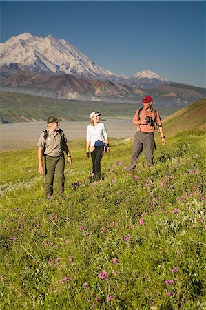 simsearch:854-03538162,k - National Park Interpretive Ranger takes a young couple on a *Discovery Hike* near Eielson visitor center Denali National Park Alaska Stock Photo - Rights-Managed, Code: 854-03538153