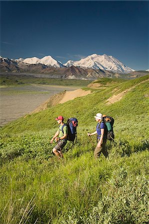 simsearch:854-03538162,k - Two backpackers hiking in tundra and wildflowers at Grassy Pass near Eielson visitor center Denali NP Alaska Stock Photo - Rights-Managed, Code: 854-03538164