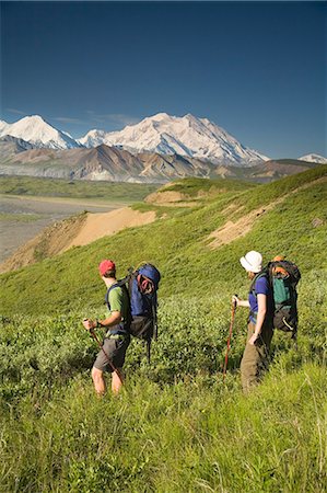simsearch:854-03538162,k - Two backpackers hiking in tundra and wildflowers at Grassy Pass near Eielson visitor center Denali NP Alaska Stock Photo - Rights-Managed, Code: 854-03538165