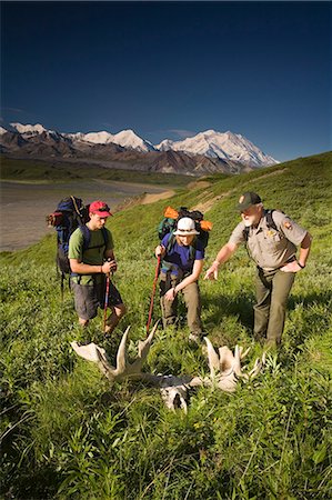 simsearch:854-03538162,k - National Park Interpretive Ranger shows a couple a moose antler on the tundra Denali National Park Alaska Stock Photo - Rights-Managed, Code: 854-03538161