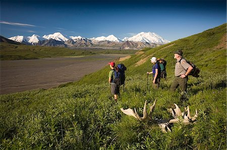 simsearch:854-03538162,k - National Park Interpretive Ranger shows a couple a moose antler on the tundra Denali National Park Alaska Stock Photo - Rights-Managed, Code: 854-03538162