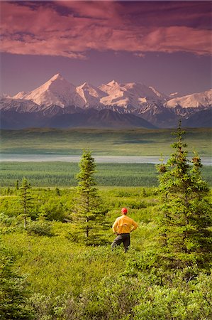 simsearch:854-03538162,k - Male tourist views Mt.Silverthrone & Alaska Range near Wonder Lake Denali National Park Alaska Summer Stock Photo - Rights-Managed, Code: 854-03539371