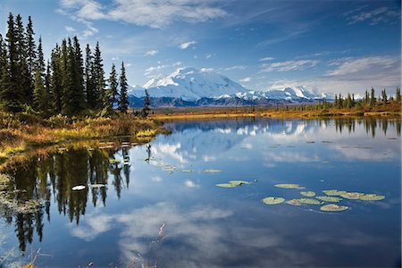 The north face and peak of Mt. Mckinley is reflected in a small tundra pond in Denali National Park, Alaska Stock Photo - Rights-Managed, Code: 854-03539454