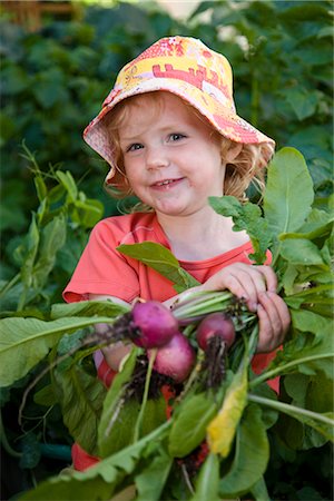 simsearch:6102-06965813,k - Toddler girl holds up a bunch of home grown radishes fresh out of the garden, Anchorage, Southcentral Alaska, Summer Stock Photo - Rights-Managed, Code: 854-03646457