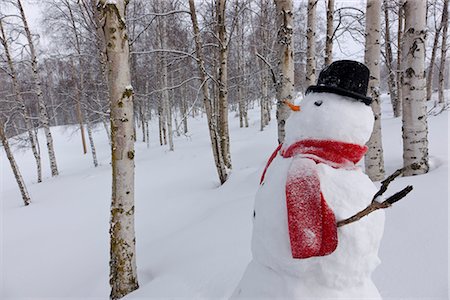 simsearch:854-02956132,k - Close up of snowman wearing a scarf and black top hat standing in a snow covered birch forest, Russian Jack Springs Park, Anchorage, Southcentral Alaska, Winter Foto de stock - Con derechos protegidos, Código: 854-03646550