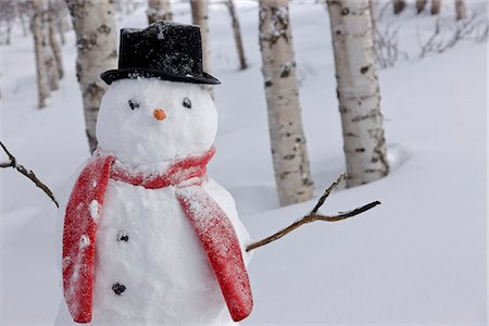 simsearch:854-02956132,k - Close up of snowman wearing a scarf and black top hat standing in a snow covered birch forest, Russian Jack Springs Park, Anchorage, Southcentral Alaska, Winter Foto de stock - Con derechos protegidos, Código: 854-03646551