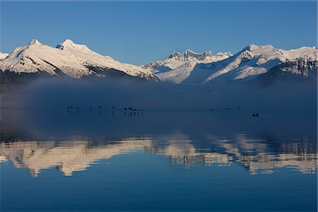 simsearch:854-03362156,k - Panoramic view of the fog covered Mendenhall River with the Coast Range in the background, Inside Passage, Southeast Alaska, Winter, COMPOSITE Stock Photo - Rights-Managed, Code: 854-03646731