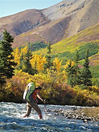 Female hiker with walking sticks crosses Windy Creek along the Sanctuary River Trail in Denali National Park, Interior Alaska, Autumn Stock Photo - Rights-Managed, Code: 854-03739572