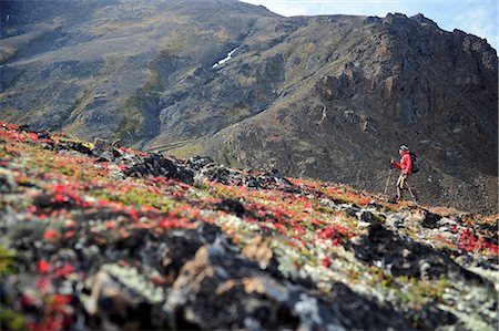 red trail - Female backpacker hikes on colorful tundra along McHugh Creek, Chugach State Park, Southcentral Alaska, Autumn Stock Photo - Rights-Managed, Code: 854-03739595