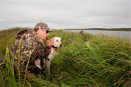 ducking - Hunter with Yellow Lab and duck call hunting along the coast of Bristol Bay at Crystal Creek Lodge, King Salmon, Southwest Alaska, Summer Stock Photo - Rights-Managed, Code: 854-03739715