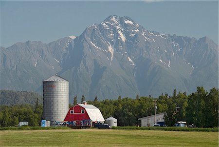 Scenic view of a rural farm with red barn and silo and Pioneer Peak in the background, Palmer, Mat-Su Valley, Southcentral Alaska, Summer Stock Photo - Rights-Managed, Code: 854-03739899