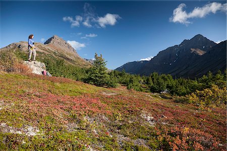 simsearch:400-03976636,k - Woman hiker resting and enjoying the view in the Glen Alps area of Chugach State Park, Hidden Lake and the Ramp Trail, Chugach Mountains, Southcentral Alaska, Autumn Stock Photo - Rights-Managed, Code: 854-03844980