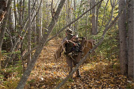 Male bow hunter carries a 54" moose antler rack on his backpack as he hikes out of hunt area, Eklutna Lake area, Chugach State Park, Southcentral Alaska, Autumn Stock Photo - Rights-Managed, Code: 854-03844995